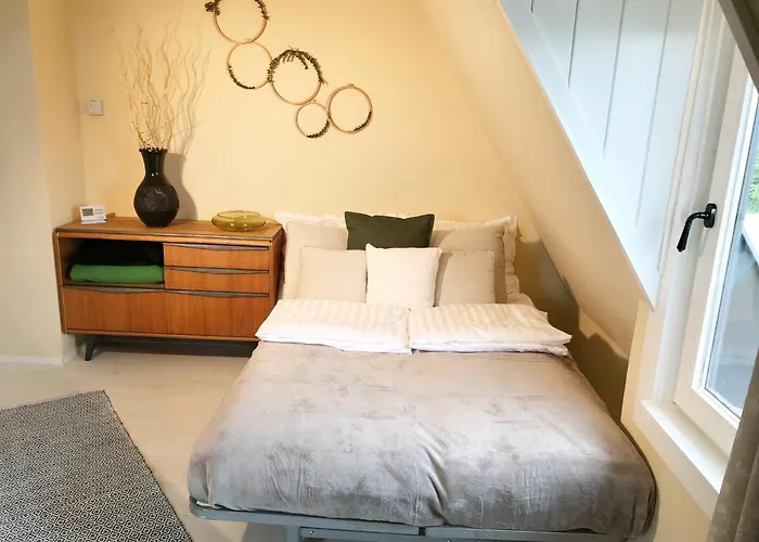 Noah 巴拉顿诺尔马迪